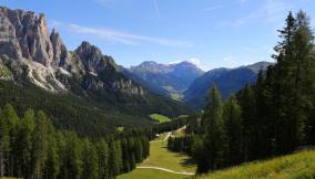 Sentiero della Foresta